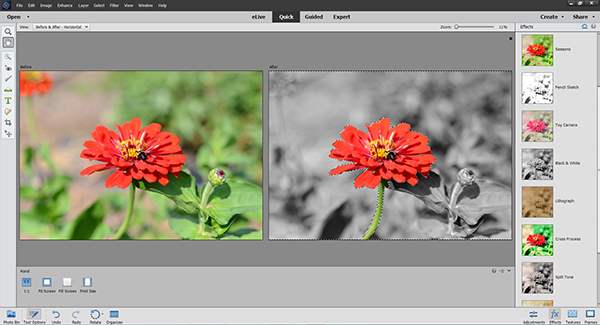 Exploring the New Features of Adobe Photoshop Elements 14 | Shutterbug